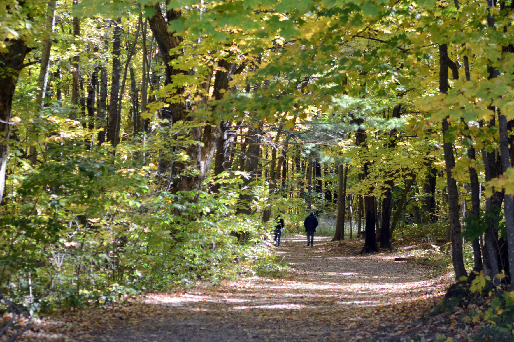 Baraboo area fall color, Oct. 8, 2020